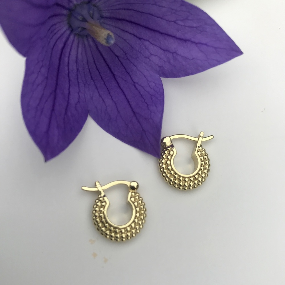 NEW NW Rachel Glauber 14-Karat Yellow Gold Plated Hoops.